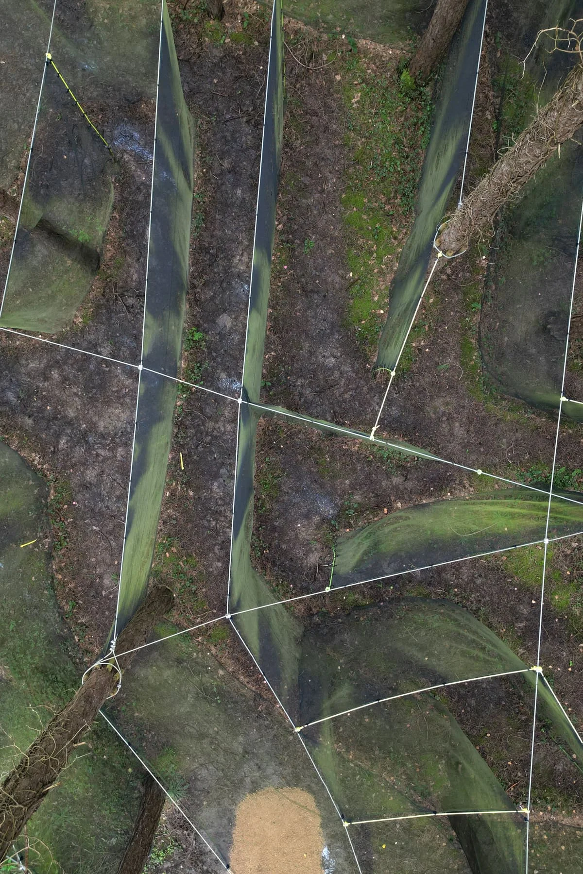 Featured image 3