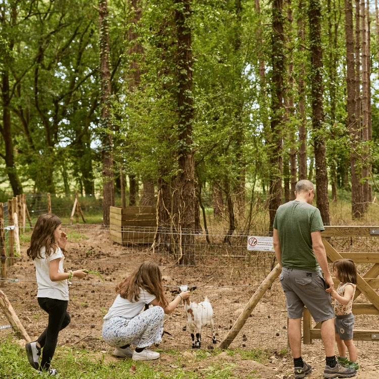 leparcdesgrandsjeux-image-21